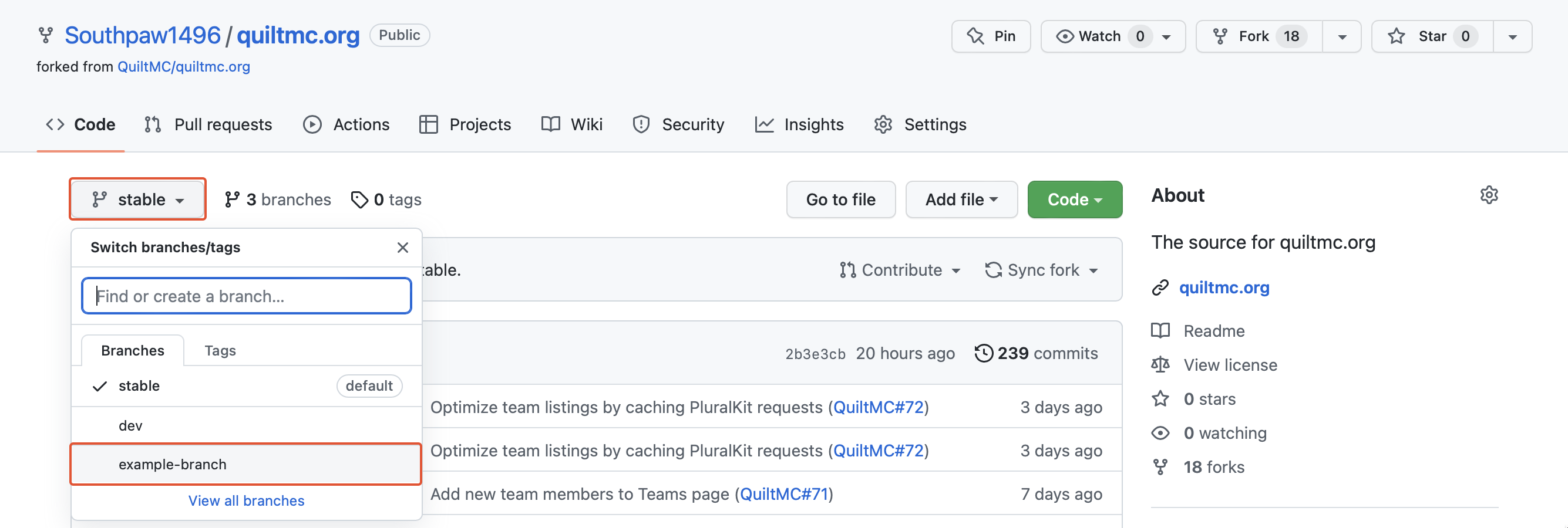 Screenshot highlighting the branch switching interface on github.com